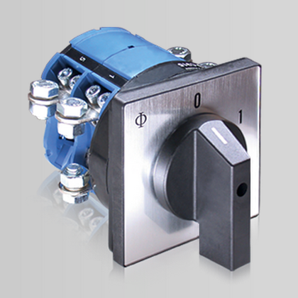 ring type terminal 1